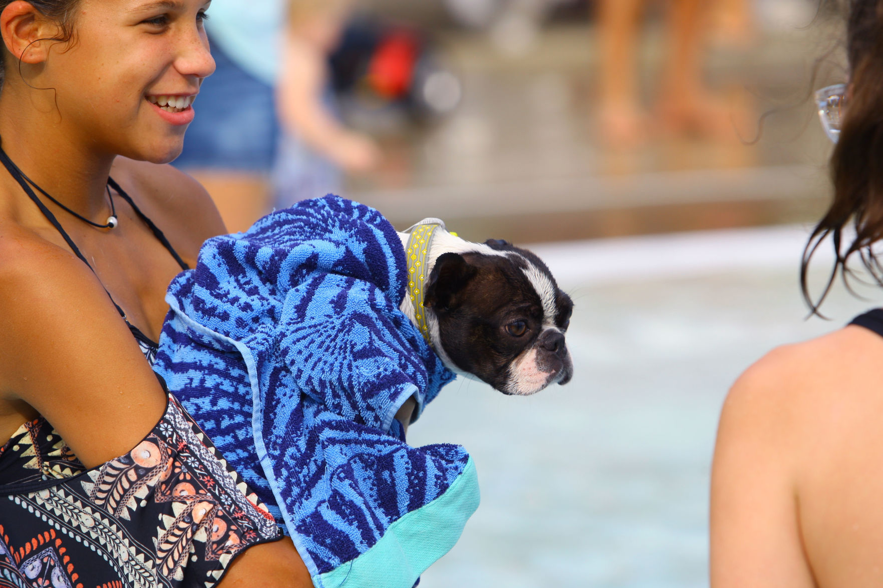 Pooches in the Pool 16.JPG